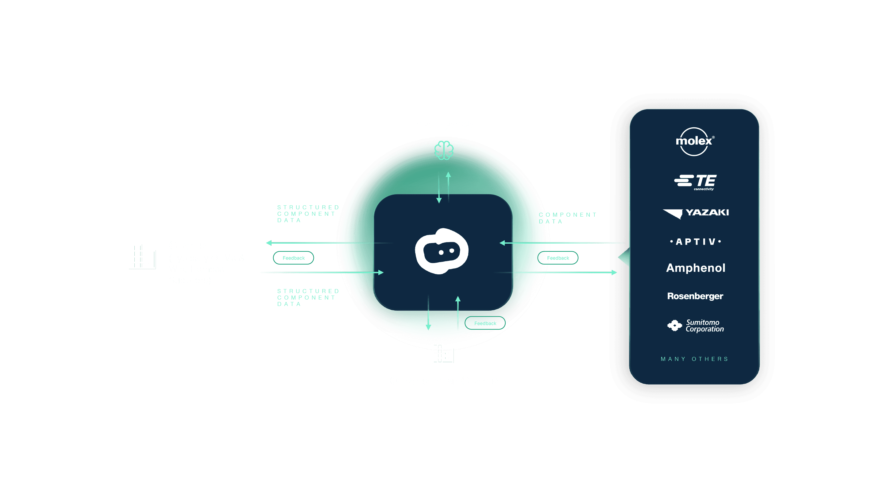 Amoeba process diagram